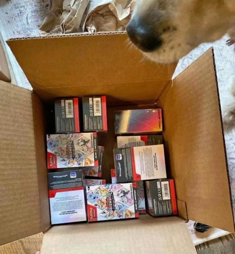 Pokémon Großhandel Deutschland